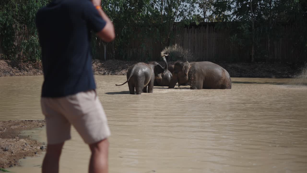 Elephants in Water with Photographer