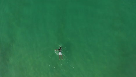 Un-Viajero-Solo-Nadando-En-Las-Tranquilas-Aguas-Del-Mar