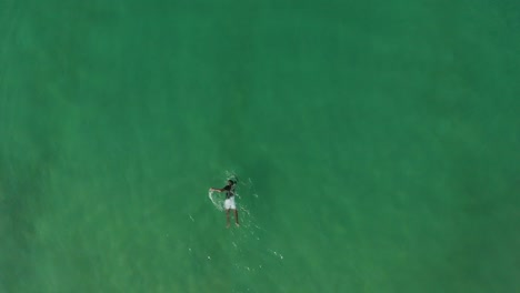 un viajero solo nadando en las tranquilas aguas del mar