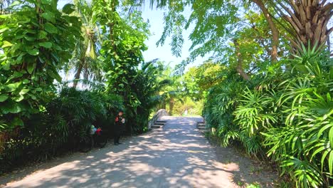 a serene walk along a sunlit, leafy path in bangkok's rama 9 park, showcasing vibrant greenery and tranquil surroundings