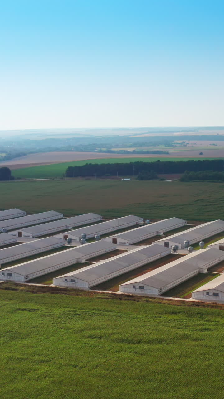Farm barns in plain rows at modern agricultural plant. Up-to-date farming facility for breeding animals. Another farm at backdrop. Top view. Vertical video