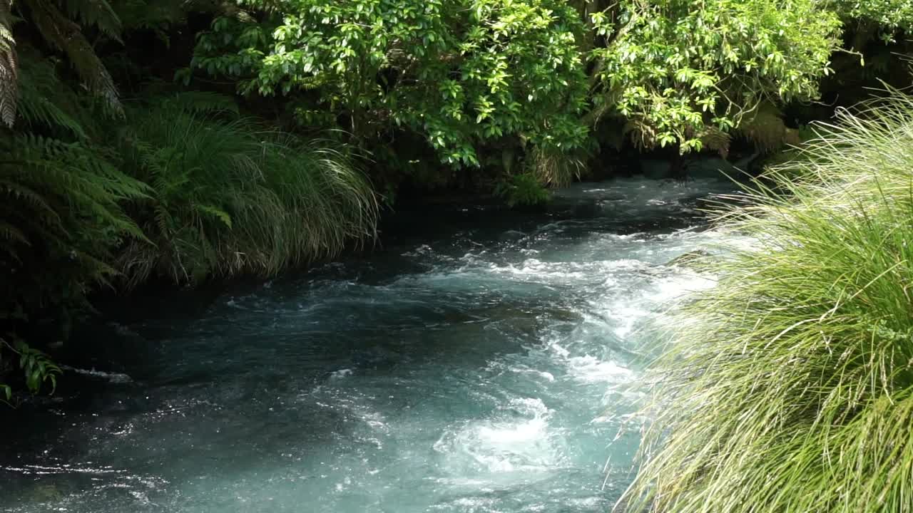 Shot of flowing Blue Spring Creek Putaruru with rapids in Zealand