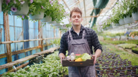 farmer with fresh harvested vegetables in farm