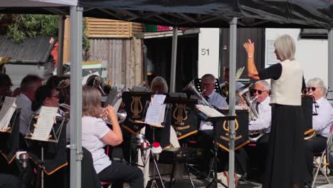 musicians playing brass instruments with a conductor