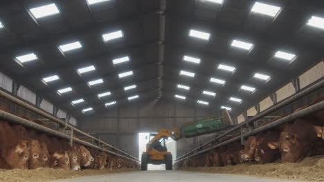 una gran máquina esparciendo heno mientras los toros comen alimento para animales