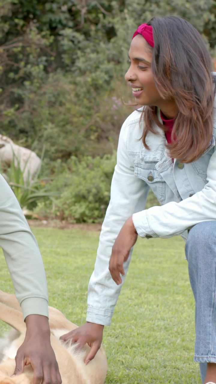 Video verticale: Donna in jeans che si avvicina, inginocchiata sull'erba che accarezza un cane, confortando il cane con uno scialle