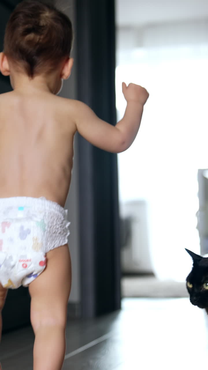 Rear view of a toddler in diaper running by the house. Black cat looks at camera and then follows a baby. Vertical video