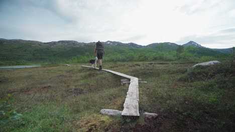 male hiker with a dog walking on a wood plank path heading towards a river at anderdalen national park, senja, norway