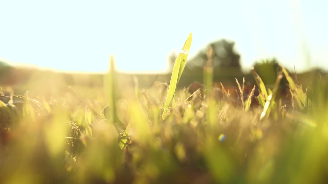 공원에서 일몰 촬영