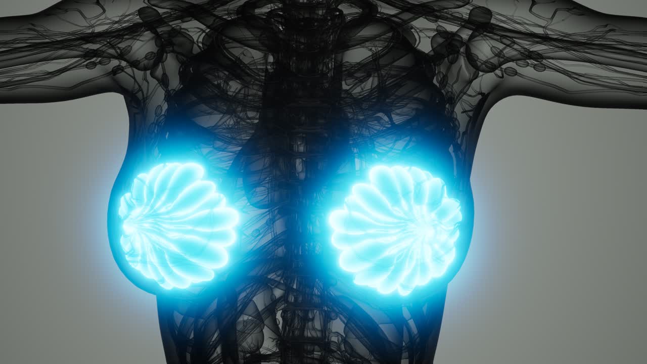 여성 유방암 의 의학적 검사