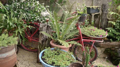 Antikes-Fahrrad-Mit-Vasen-Und-Blumen,-Die-Einen-Garten-Im-Hinterhof-Schmücken