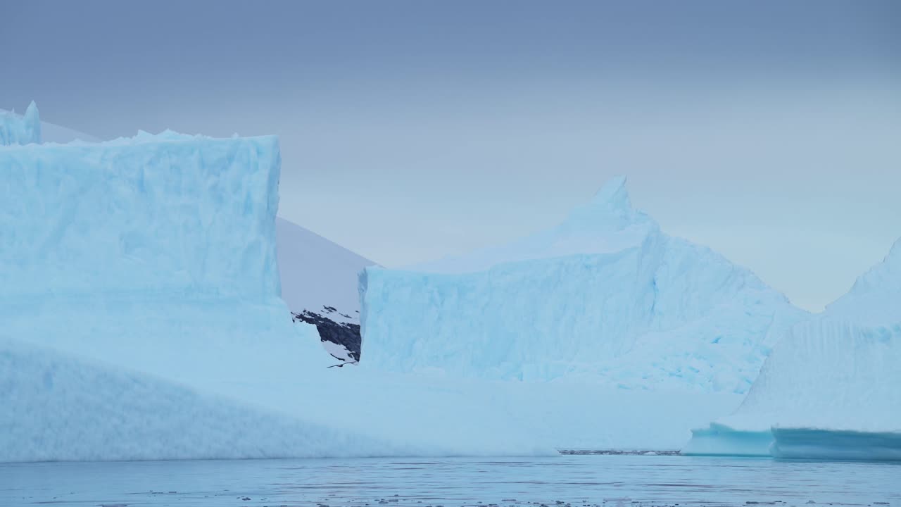 Slow Motion Iceberg Formation and Bird, Seabirds Flying in Antarctica Landscape Scenery, Birds in Flight Flying Past Amazing Beautiful Dramatic Winter Ice Scene Scene