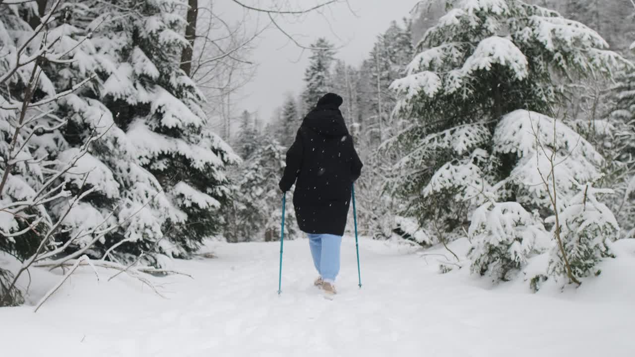 눈 인 숲 에서 산책 하는 여자