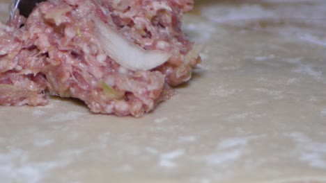 place minced meat with onions in the dough