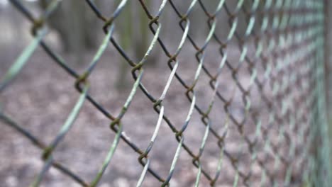 rusted fence close-up shallow focus