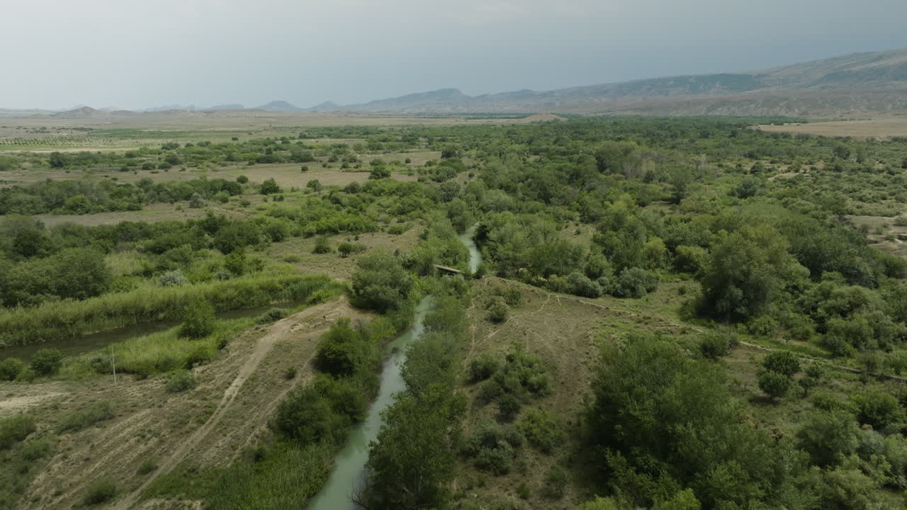 arroyo del río iori que fluye en la llanura tupida de estepa en georgia
