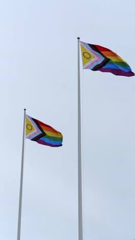 two pride flags waving in wind. gray overcast background. vertical footage
