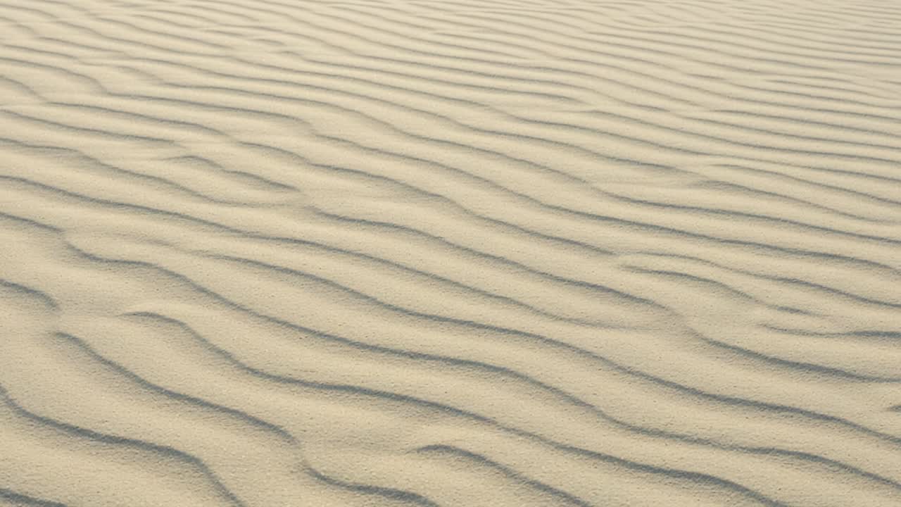Captivating Patterns of Wind-Sculpted Sand Dunes Showcasing the Natural Beauty and Textures Found in Desert Landscapes Under Soft Lighting