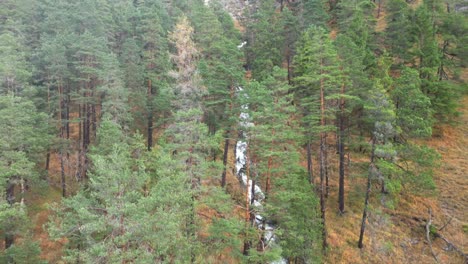 aerial view of a waterfall in a lush forest
