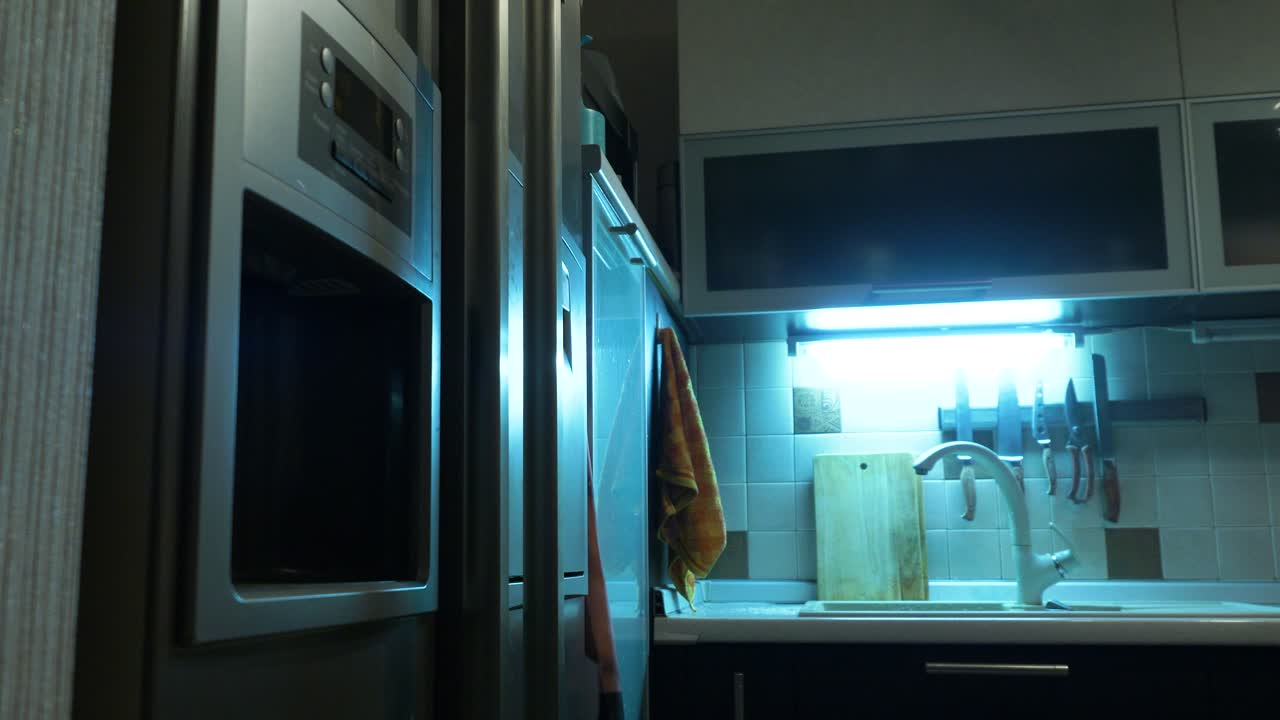 interior de la cocina y apertura del refrigerador