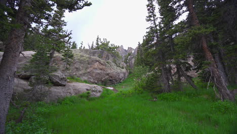 slow motion tilt down from mountain to grassy patch