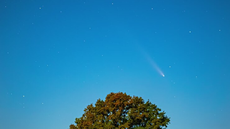 Comet over tree in starry night, peaceful cosmic wonder in Saules parks
