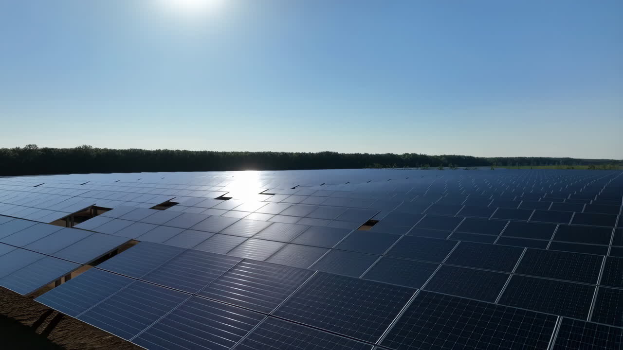 Large Solar Panel Array Under Bright Blue Sky
