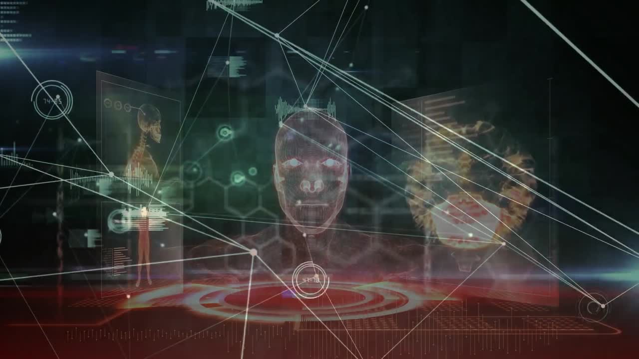 animación de la red de conexiones a través del procesamiento de datos