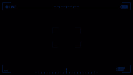 Camera frame LIVE animated overlay.  1080p - 30 fps - Alpha Channel (1)