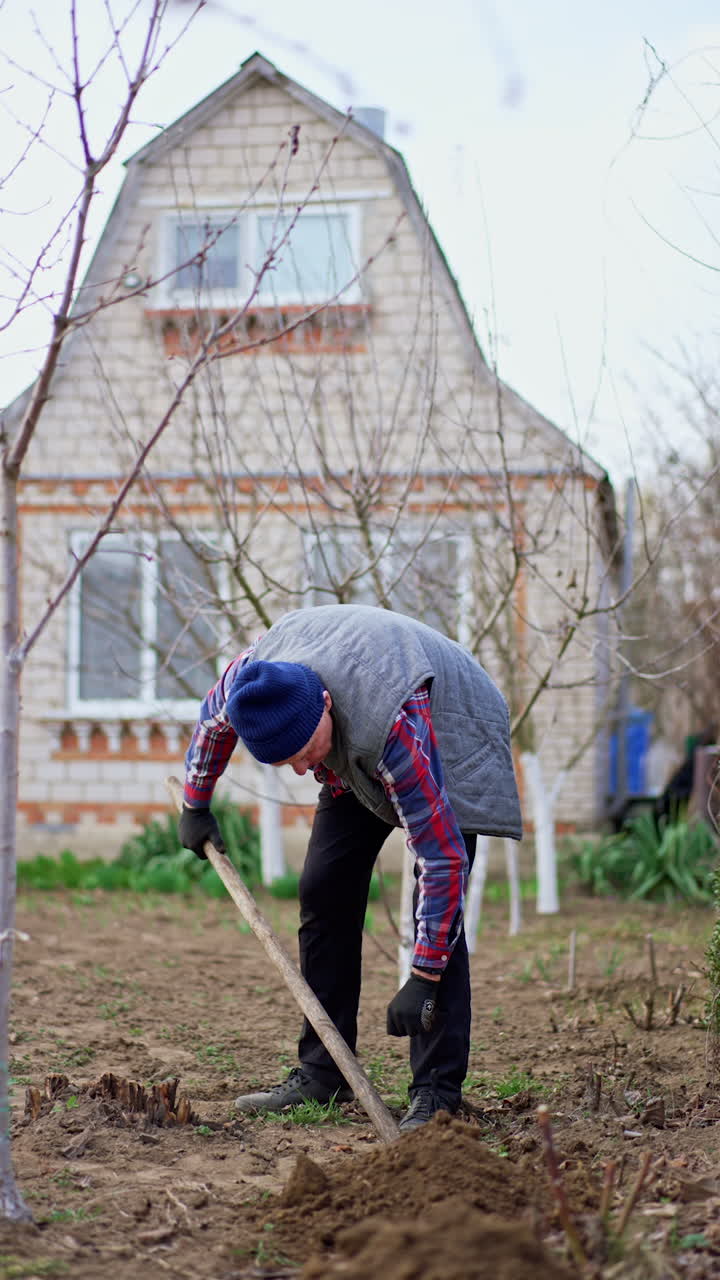 Industrious male farmer digging the ground in his garden. Man prepares soil for spring works and planting. Vertical video.