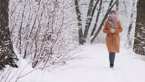 Eine-Junge-Frau-Geht-In-Einem-Winterpark-Steadicam-Shot