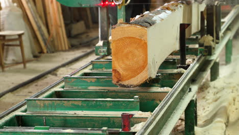 madera en aserradero con sierra de cinta en una mesa estacionaria, aserrado de troncos de doble cara