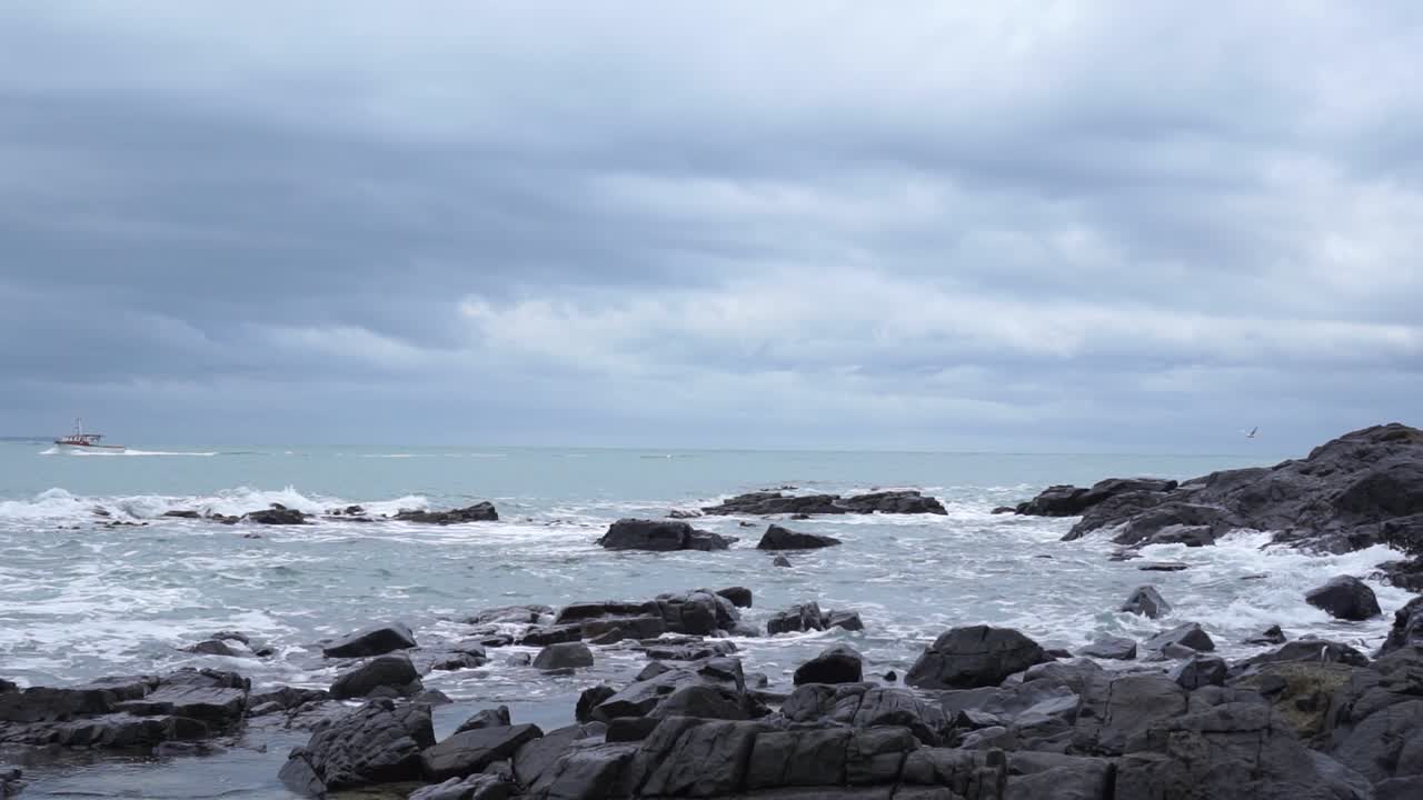 흐린 날 뉴질랜드, 절벽에 검은 바위, 파도, 보트, 갈매기가 있는 바다 전망