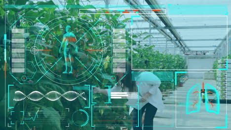 medical interface against female scientist working in greenhouse laboratory