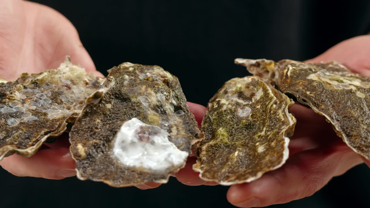 Close-up van oesters in handen