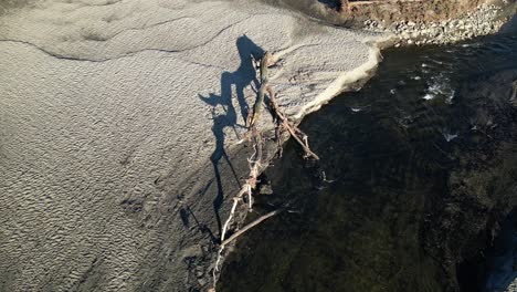 static shot of a river flow that is badly eroded with a fallen tree