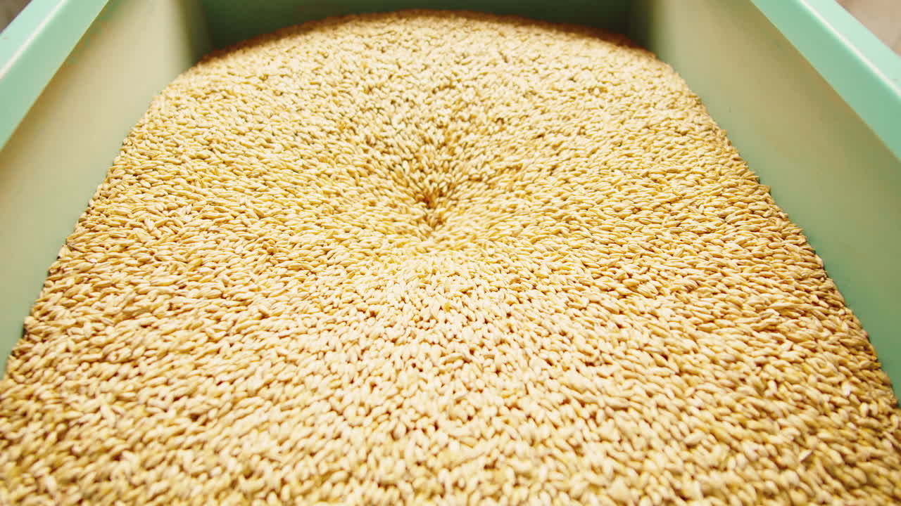 컨테이너에 대량 곡물