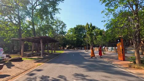 park road with monks and trees