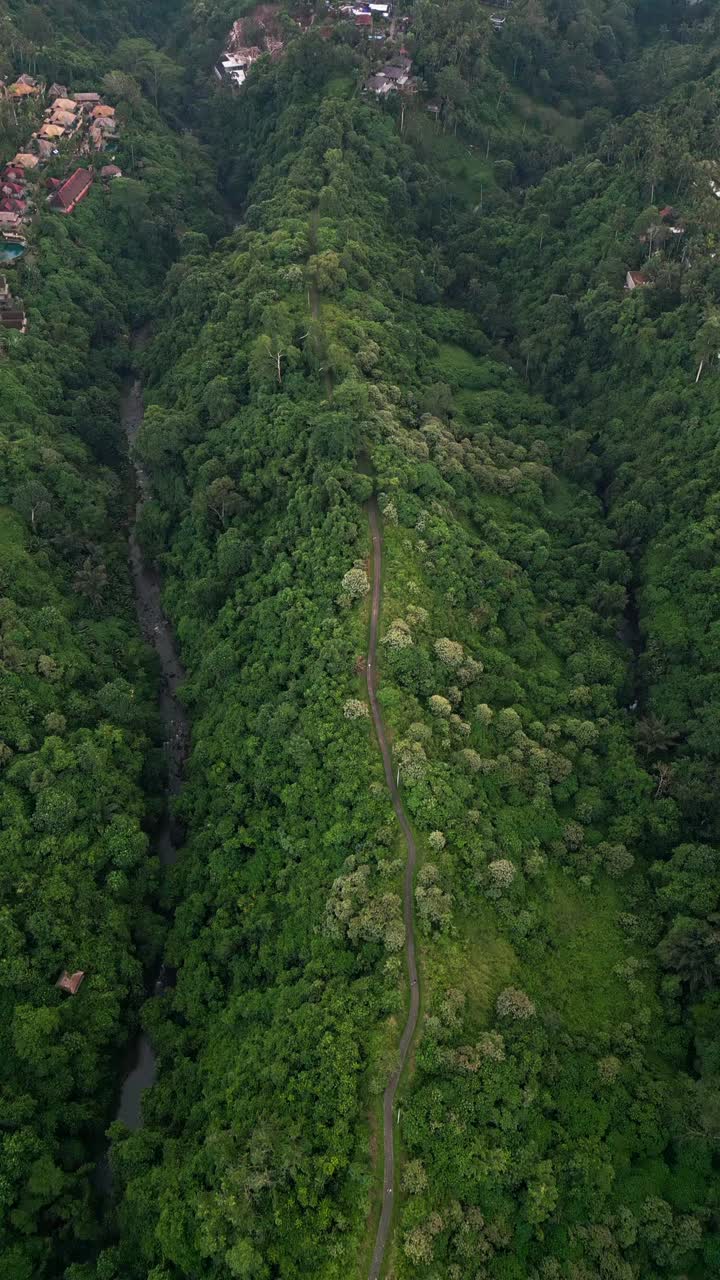 Vertical video reveals Campuhan Ridge Walk in the calm of early morning, with vibrant green hills, a narrow scenic path, and panoramic views of Bali’s lush natural surroundings