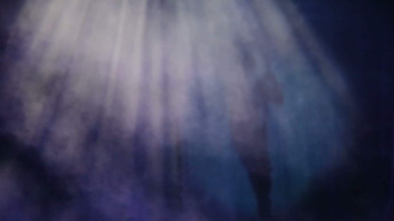 서커스에서의 공중 그림자 공연