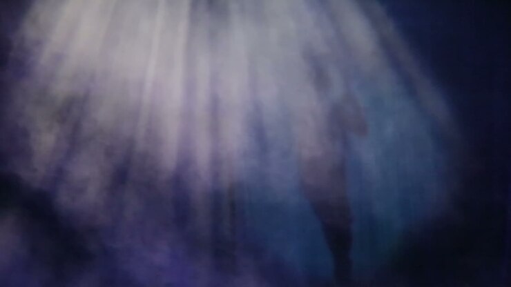 Aerial shadow performance in the circus