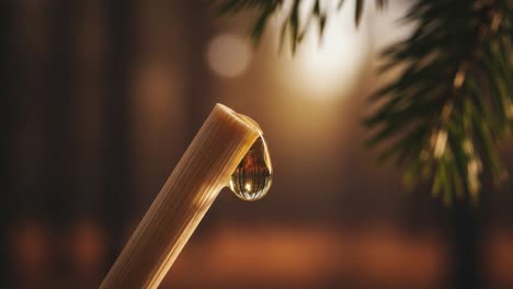 Capturing the Beauty of Nature: A Close-Up of a Transparent Drop of Liquid Forming on a Natural Stick Surrounded by Lush Greenery in a Sunlit Forest Setting