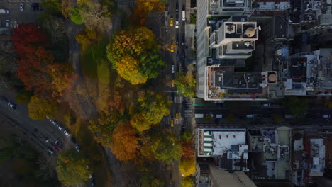 Vista-Aérea-De-Pájaros-De-Arriba-Hacia-Abajo-Tomas-Panorámicas-De-La-Calle-A-Lo-Largo-Del-Parque-De-Colores-Otoñales.-Manhattan,-Ciudad-De-Nueva-York,-Estados-Unidos