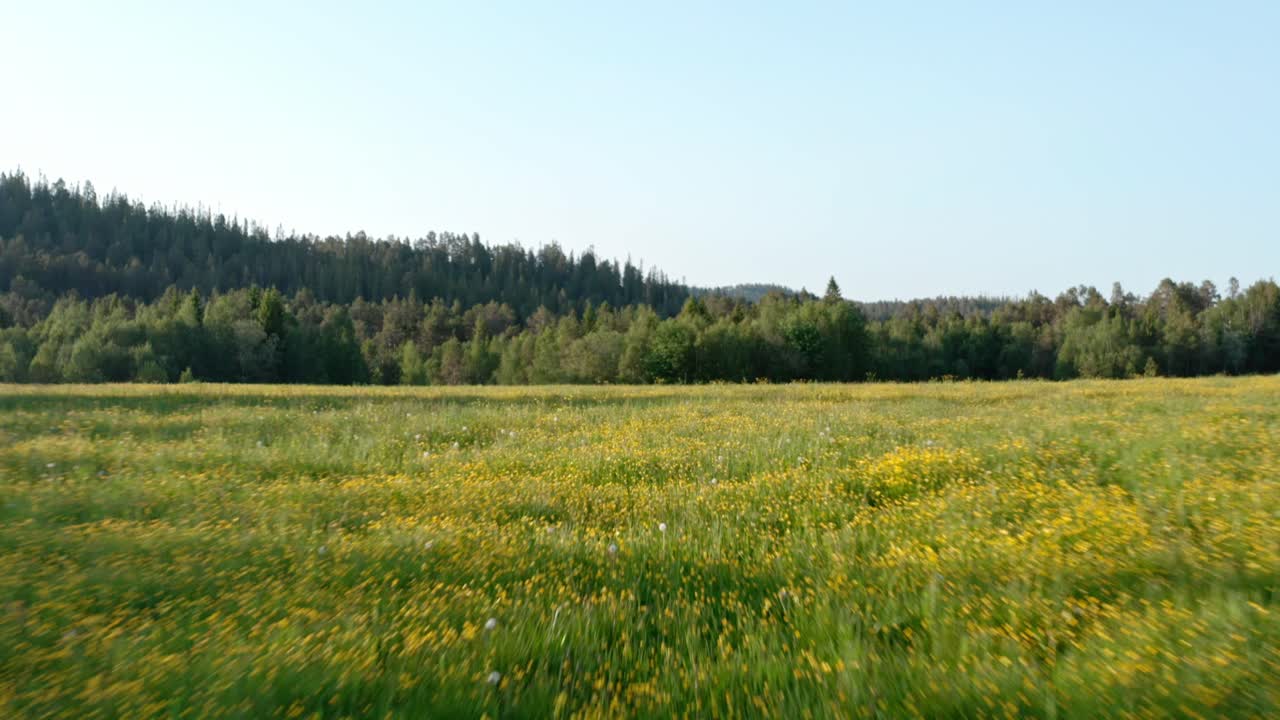vuelo sobre campos idílicos en verano - disparo de avión no tripulado