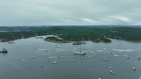 numerous boats sail through a bustling harbor along the coast, with verdant hills in the background under a cloudy sky. the scene captures maritime activity and natural beauty