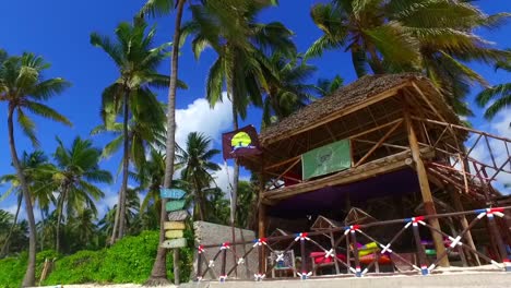 shot of a palapa and coconut palm trees and the waving flag in jambiani beach zanzibar