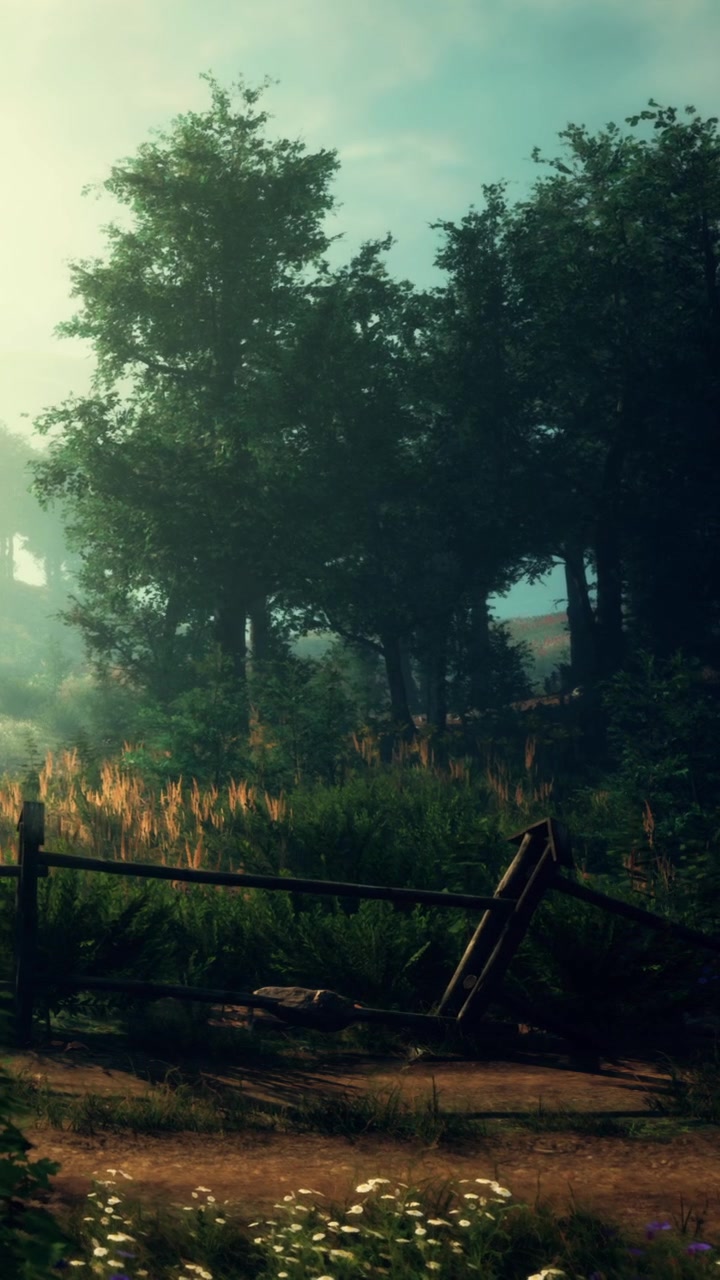 La luce del mattino illumina un sentiero tranquillo tra alberi e praterie.