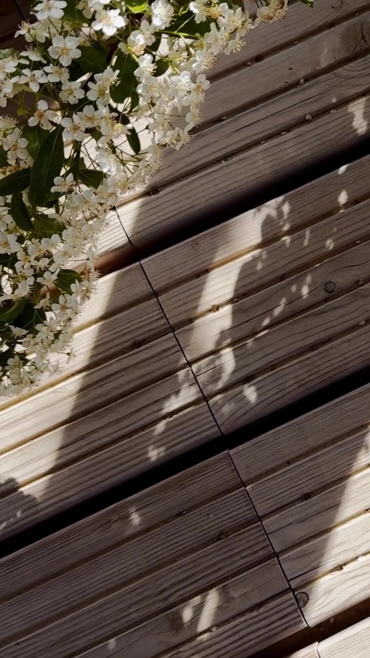 Sunlit wooden deck boards beside white blooming flowers, showing striped plank texture, soft shadows and peaceful garden detail.