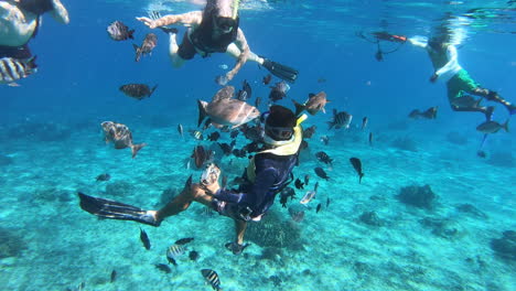 a photographer taking picture of tourist enjoying snorkeling and diving in tour in blue ocean | snappers fishes and sergeant fishes reef fishes following photographer underwater in blue sea