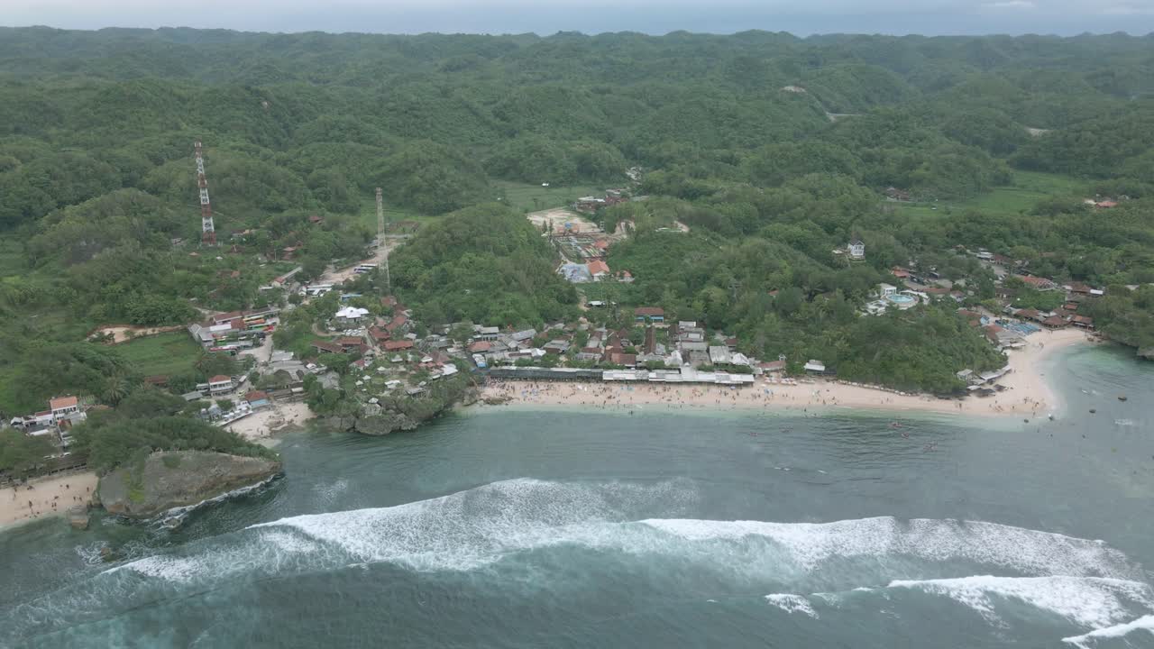vista aérea de una playa tropical con densos árboles verdes del bosque